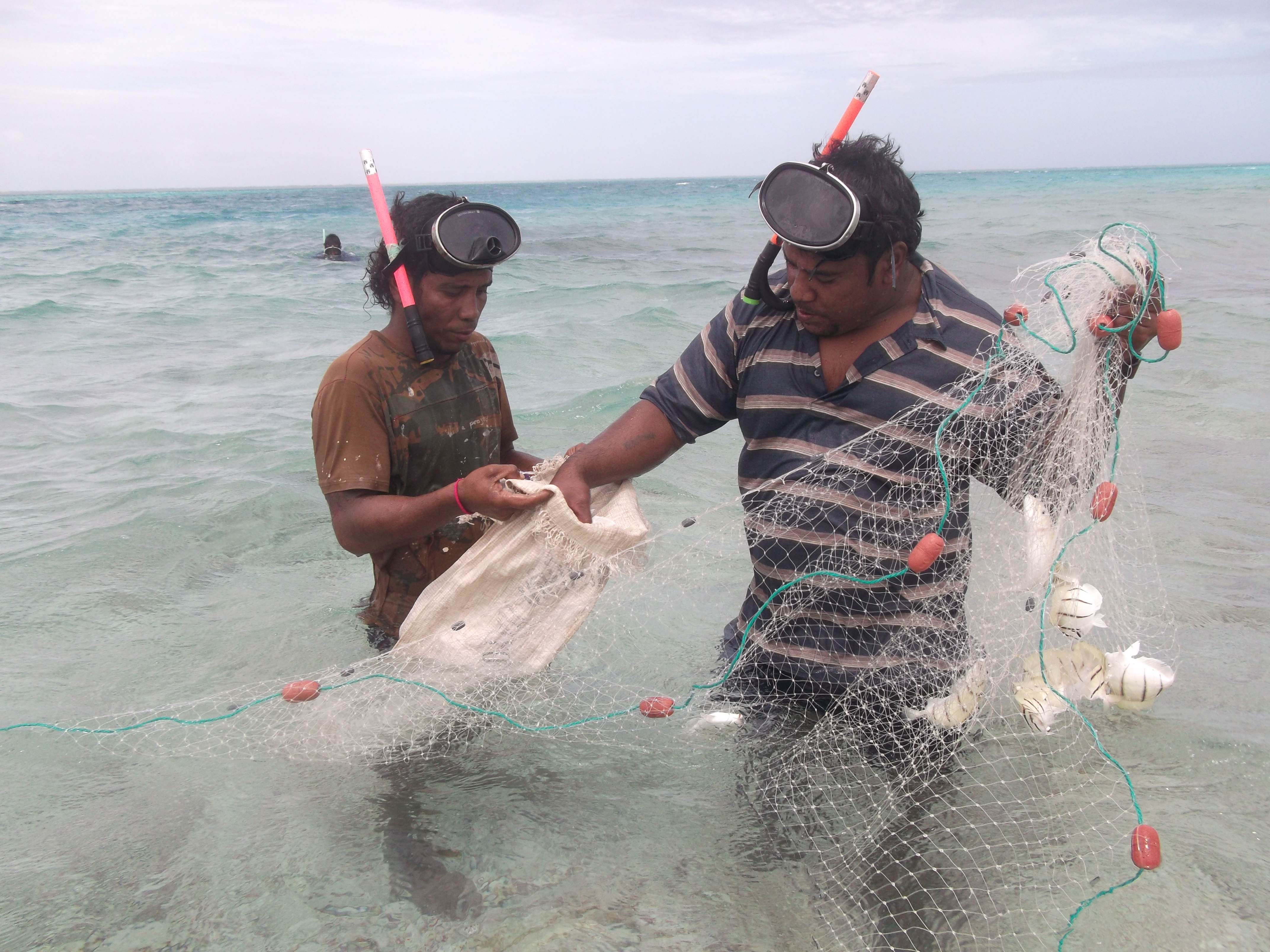 Küstenfischer fischen nicht nur mit Booten, sondern auch im flachen Wasser mit Netzen