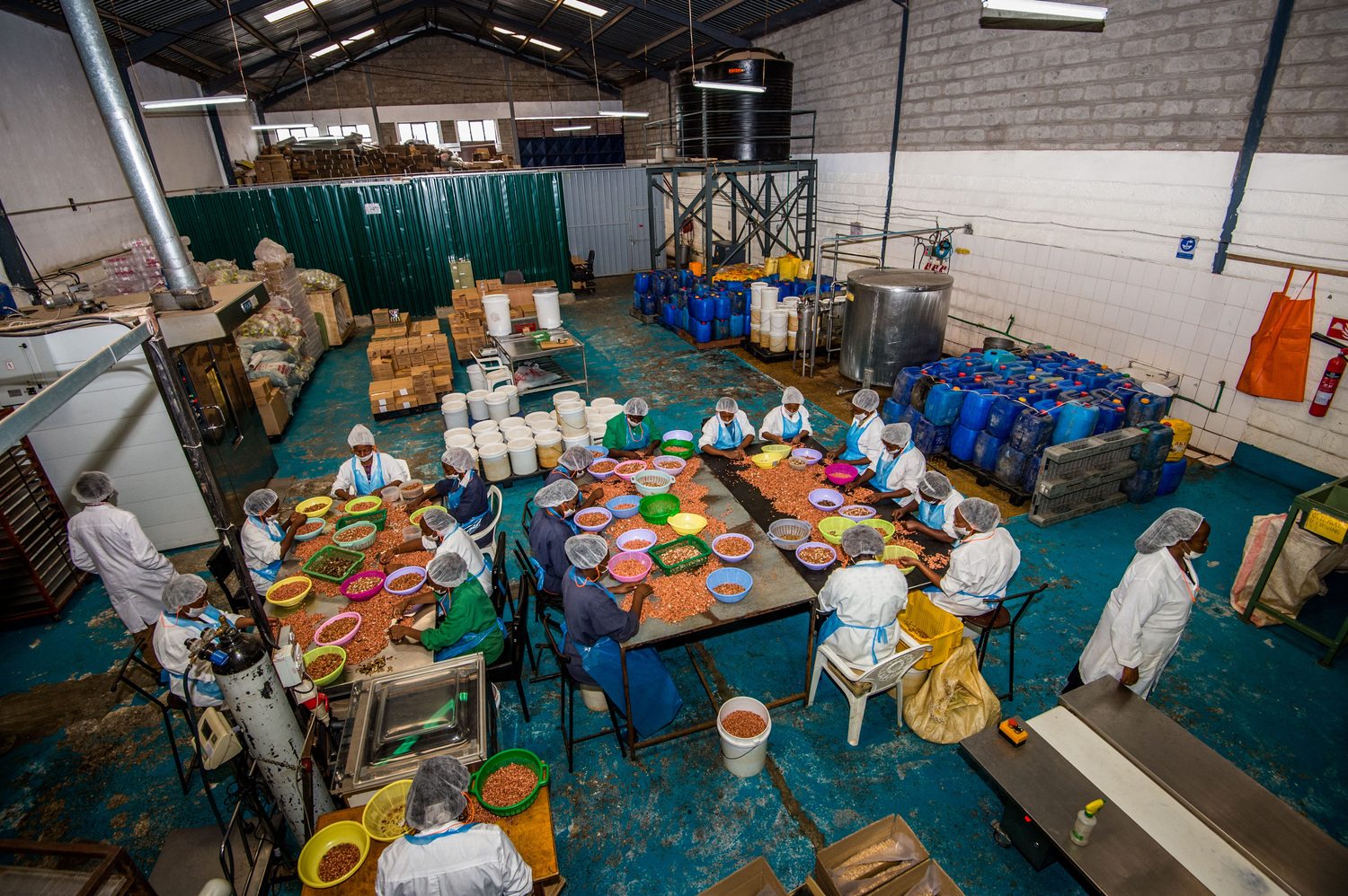 Blick in die Fabrik von Greenforest Foods. Arbeiter*innen sortieren die gelieferten Erdnüsse.